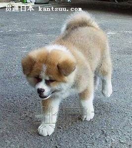 ձǰ˹ͳվһֻȮ˹ȮƬṩͬ磩