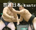決勝で大関稀勢の里(左)を押し出す横綱日馬富士(8日、両国国技館)=共同 決勝で大関稀勢の里(左)を押し出す横綱日馬富士(8日、両国国技館)=共同