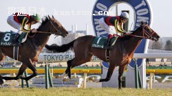 第49回共同通信杯を制した福永祐一騎乗のリアルスティール。左は2着のドゥラメンテ(15日、東京競馬場)=共同