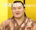 34度目の優勝から一夜明け、記者会見する横綱白鵬(23日午後、堺市内のホテル)=共同 34度目の優勝から一夜明け、記者会見する横綱白鵬(23日午後、堺市内のホテル)=共同
