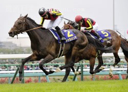 wpǃ٤ɥơҤϣŤΥꥢ륹ƥ`루19աɽRͬ