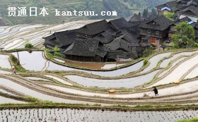 棚田で作業する農民(貴州省従江県)=ロイター