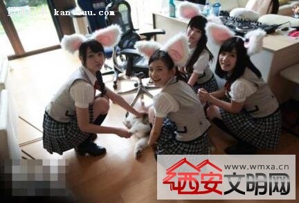 ձAKB48ָSNH48ΥΪ ӦƲΥӪһ