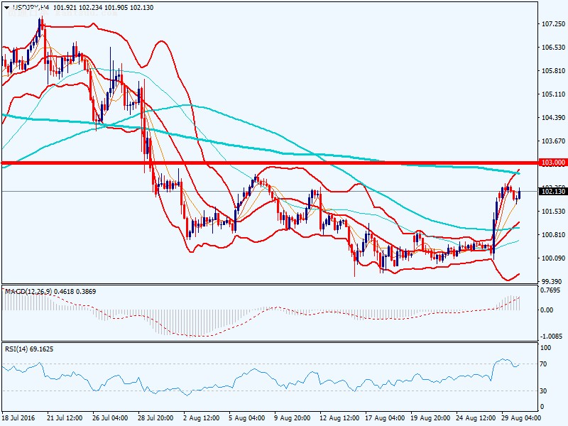 NBFforex