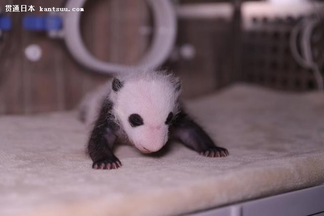 ˤϣѥΟǬMǤ˫Ӥǰk