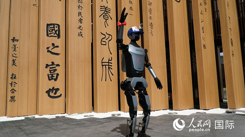 йѥӥꥪߤ˥ީ`ȥɥ`ӥṩͥܥåȡWalker ߡӰ・